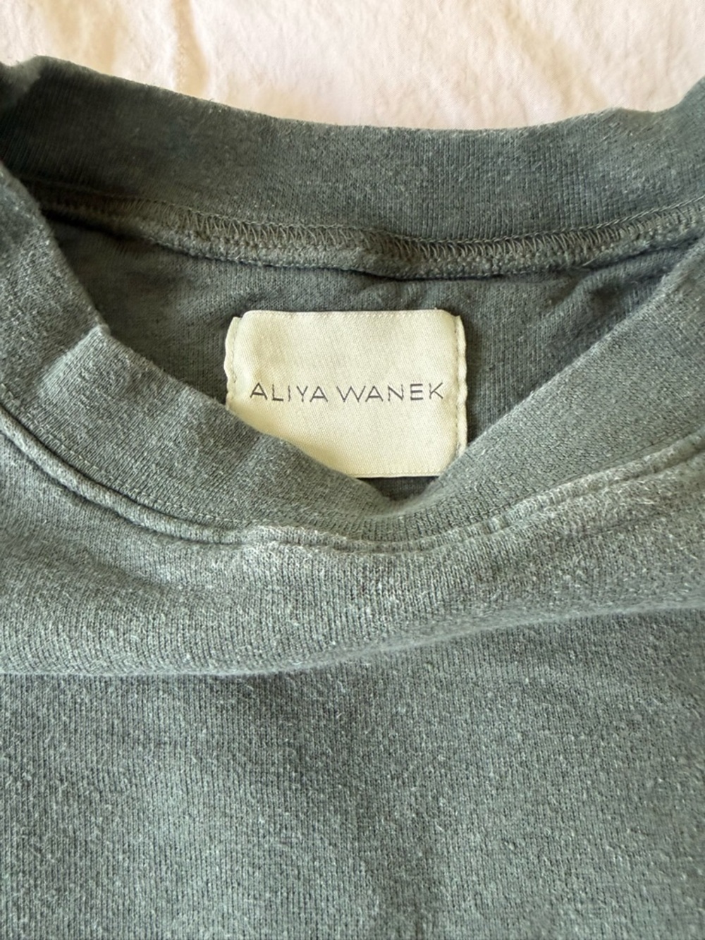 Aliya Wanek Tig sweatshirt in deep green - Picture 2 of 6